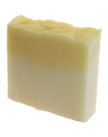 Scalp & Body Soap